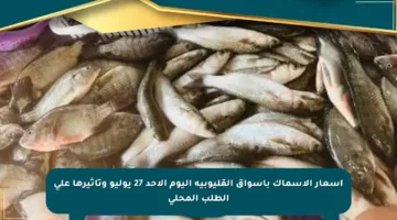 أسعار الأسماك بأسواق القليوبية اليوم الأحد 27 يوليو وتأثيرها على الطلب المحلي